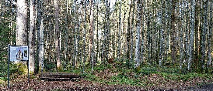 Bild: Schautafel im Wald des Schlossparks Linderhof